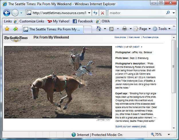 Rodeo Online 2.jpg
